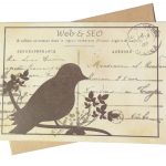 La lettre Web & SEO