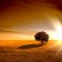 Rural landscape and shining sun