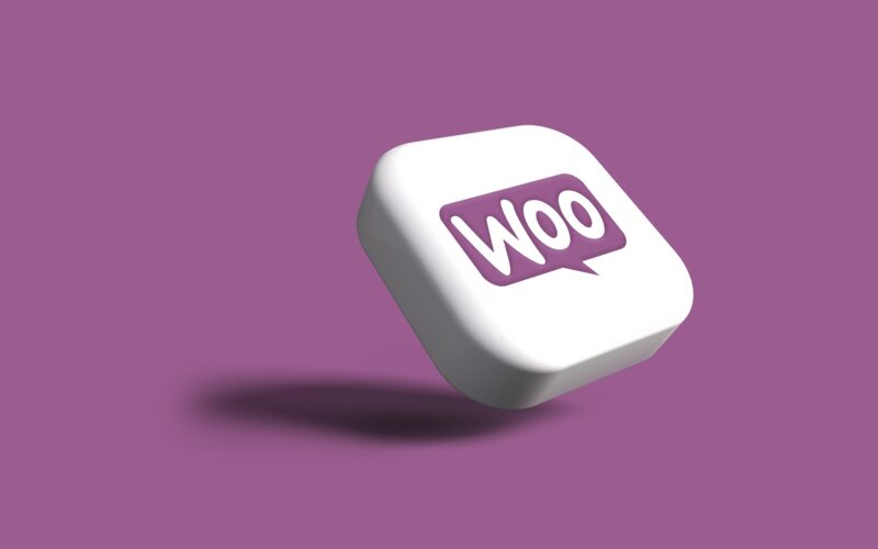 Thèmes WooCommerce