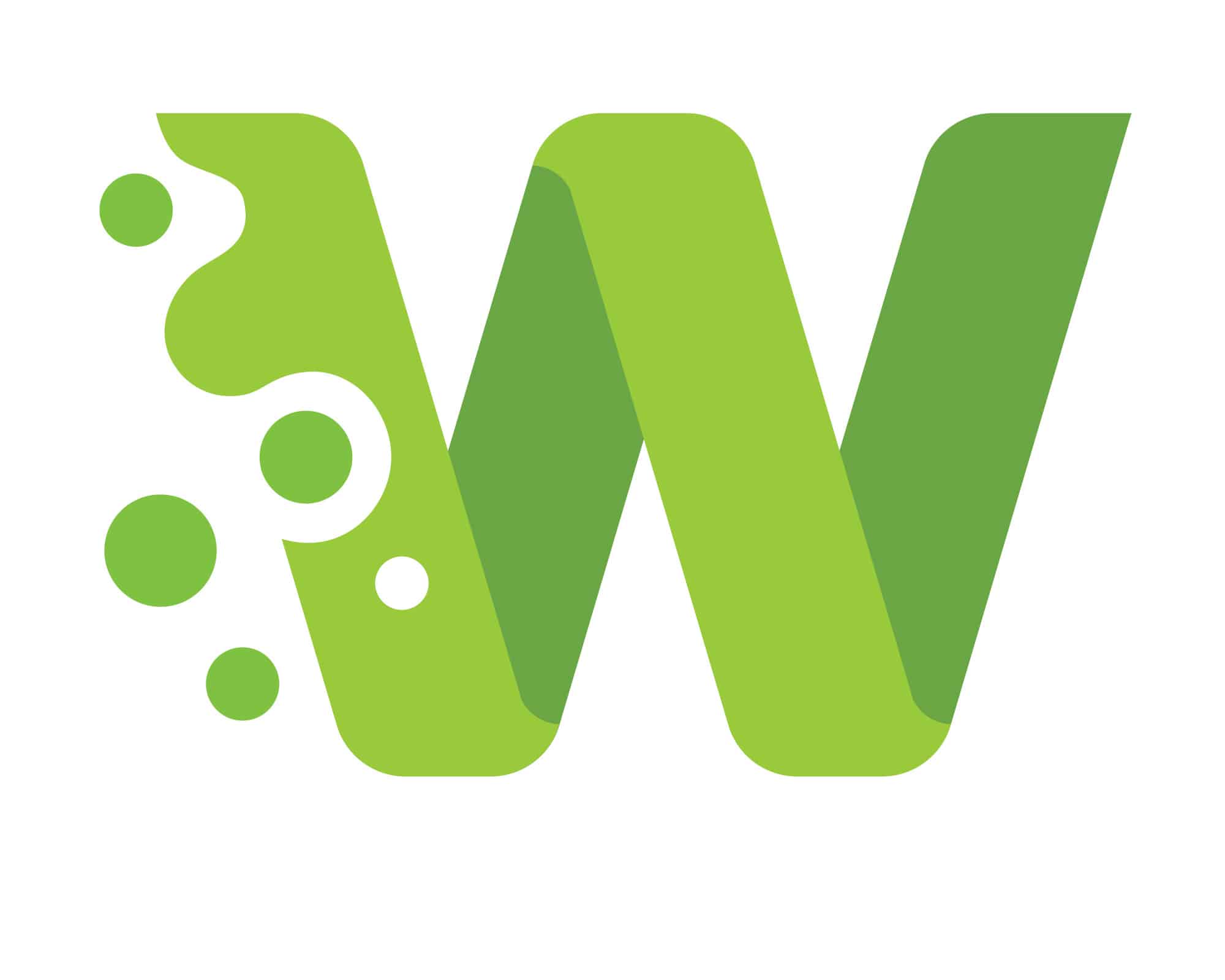 WP Serveur logo